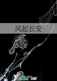 风起长安